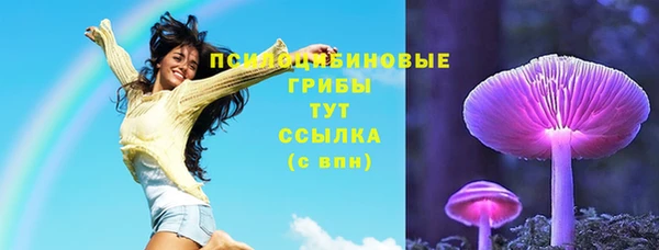 бошки Абинск