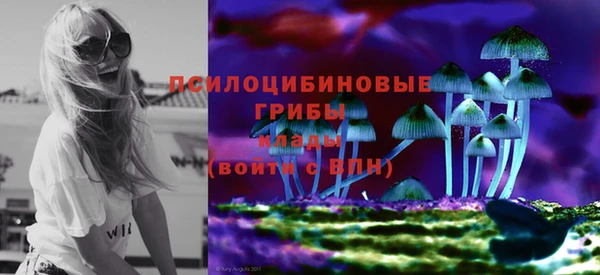 бошки Абинск